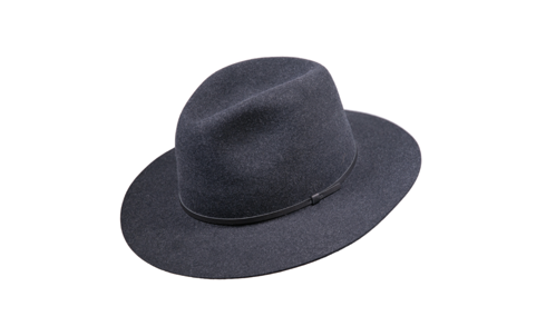 Fedora hat 